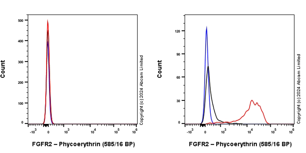 Flow Cytometry - PE Anti-FGFR2 antibody [EPR24075-418] (AB322671), expandable thumbnail