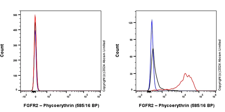 Flow Cytometry - PE Anti-FGFR2 antibody [EPR24075-418] (AB322671)