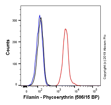 Flow Cytometry (Intracellular) - PE Anti-Filamin A antibody [EP2405Y] (AB246751), expandable thumbnail