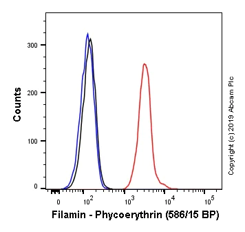 Flow Cytometry (Intracellular) - PE Anti-Filamin A antibody [EP2405Y] (AB246751)