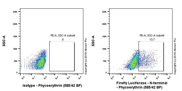 Flow Cytometry (Intracellular) - PE Anti-Firefly Luciferase antibody [EPR17789] (AB237253)