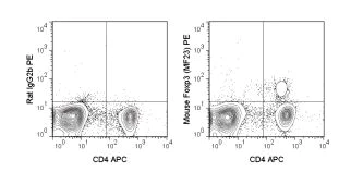 Flow Cytometry - PE Anti-FOXP3 antibody [MF23] (AB218773)