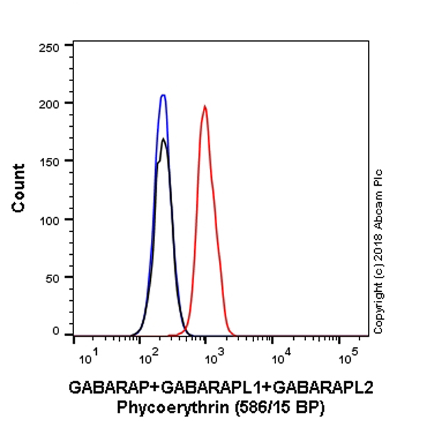 Flow Cytometry (Intracellular) - PE Anti-GABARAP+GABARAPL1+GABARAPL2 antibody [EPR4805] (AB223948), expandable thumbnail
