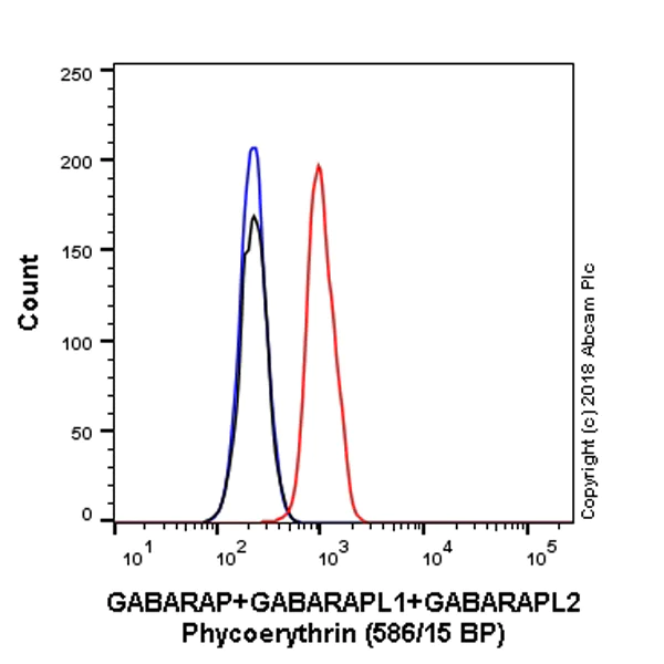 Flow Cytometry (Intracellular) - PE Anti-GABARAP+GABARAPL1+GABARAPL2 antibody [EPR4805] (AB223948)