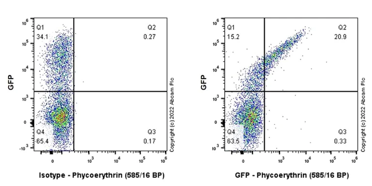 Flow Cytometry (Intracellular) - PE Anti-GFP antibody [EPR14104] (AB303588)