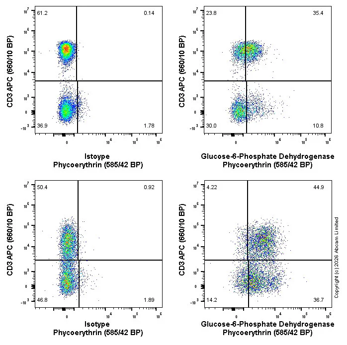 Flow Cytometry (Intracellular) - PE Anti-Glucose 6 Phosphate Dehydrogenase antibody [EPR20668] (AB326146)