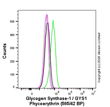 Flow Cytometry (Intracellular) - PE Anti-Glycogen synthase 1/GYS1 antibody [EP817Y] (AB326128)