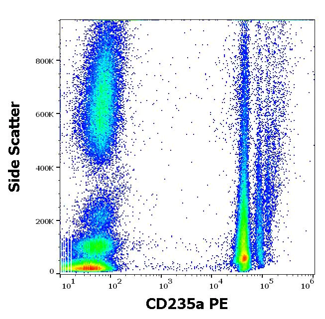 Flow Cytometry - PE Anti-Glycophorin A antibody [JC159] (AB197142)