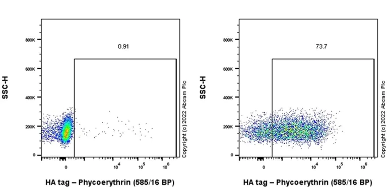 Flow Cytometry (Intracellular) - PE Anti-HA tag antibody [EPR22819-101] (AB303586)