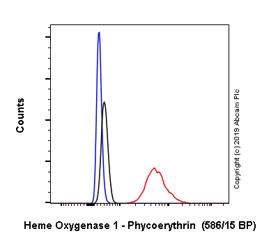 Flow Cytometry (Intracellular) - PE Anti-Heme Oxygenase 1 antibody [EPR18161-128] (AB237269)