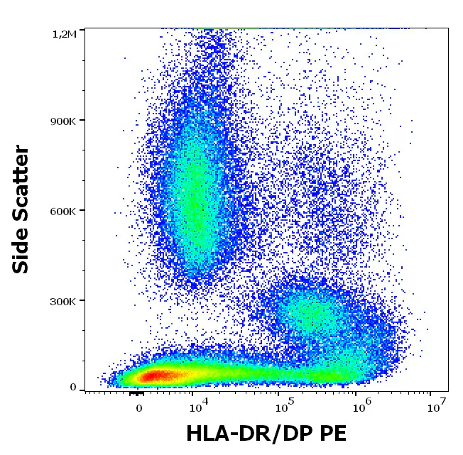 Flow Cytometry - PE Anti-HLA DR + HLA DP antibody [MEM-136] (AB77134)