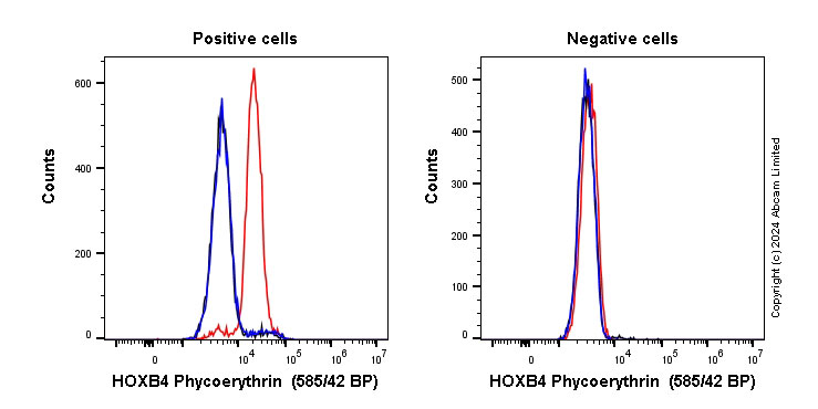 Flow Cytometry (Intracellular) - PE Anti-HOXB4 antibody [EP1919Y] (AB305496), expandable thumbnail