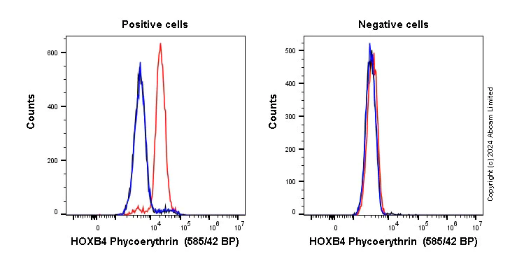 Flow Cytometry (Intracellular) - PE Anti-HOXB4 antibody [EP1919Y] (AB305496)