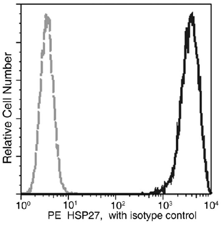 Flow Cytometry (Intracellular) - PE Anti-Hsp27 antibody [155] (AB275699)