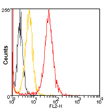 Flow Cytometry (Intracellular) - PE Anti-Hsp90 alpha antibody (AB195563)