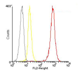 Flow Cytometry (Intracellular) - PE Anti-Hsp90 beta antibody (AB115641), expandable thumbnail