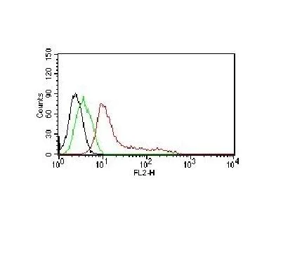 Flow Cytometry - PE Anti-Human Nuclear Antigen antibody [235-1] (AB215755)