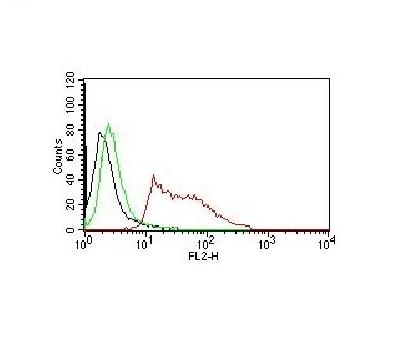 Flow Cytometry - PE Anti-Human Nuclear Antigen antibody [235-1] (AB215755)