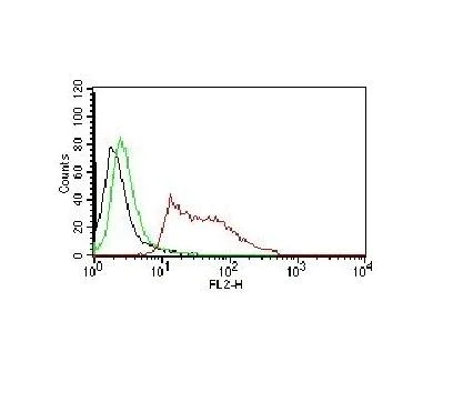 Flow Cytometry - PE Anti-Human Nuclear Antigen antibody [235-1] (AB215755)