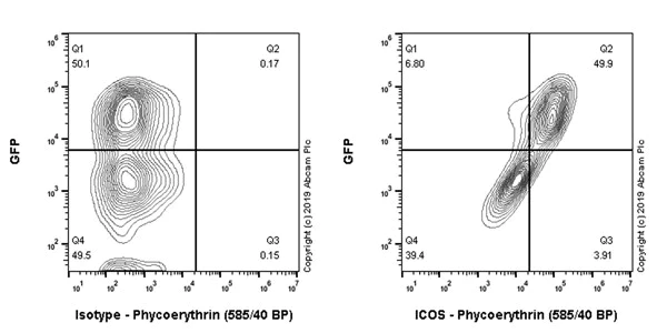 Flow Cytometry - PE Anti-ICOS antibody [EPR22181] (AB245909)