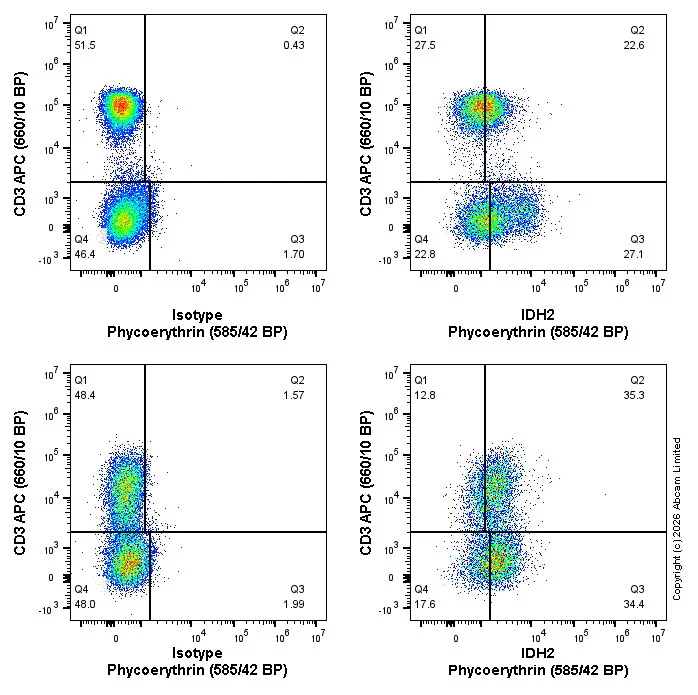 Flow Cytometry (Intracellular) - PE Anti-IDH2 antibody [EPR7577] (AB212122)