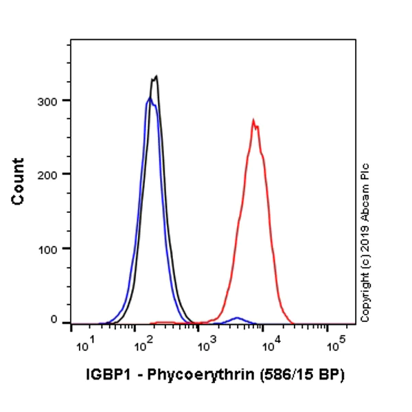 Flow Cytometry (Intracellular) - PE Anti-IGBP1 antibody [EPR12315] (AB225234)