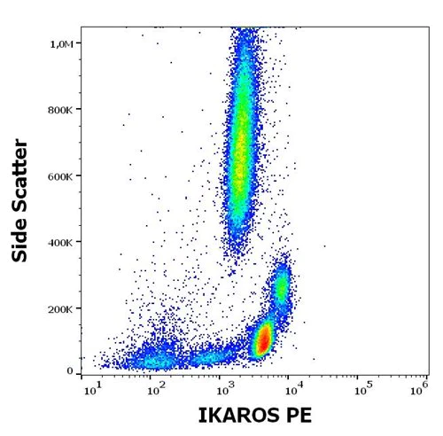 Flow Cytometry (Intracellular) - PE Anti-Ikaros antibody [4E9] (AB232924)