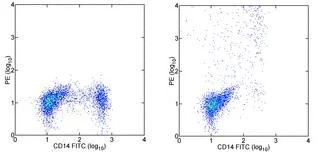 Flow Cytometry - PE Anti-IL-12 antibody [HP-40] (AB95528)