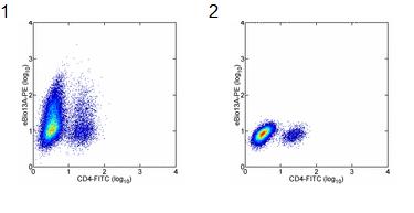 Flow Cytometry - PE Anti-IL-13 antibody [13A] (AB95576)