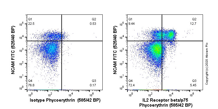 Flow Cytometry - PE Anti-IL2 Receptor beta/p75 antibody [EPR22892-2] (AB267556)