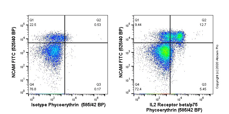 Flow Cytometry - PE Anti-IL2 Receptor beta/p75 antibody [EPR22892-2] (AB267556)