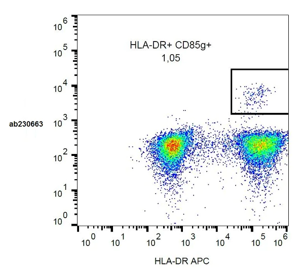 Flow Cytometry - PE Anti-ILT-7 antibody [17G10.2] (AB230663)