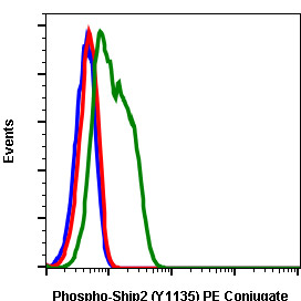 Flow Cytometry - PE Anti-INPPL1/SHIP-2 (phospho Y1135) antibody [Ship2Y1135-1D2] (AB278715), expandable thumbnail