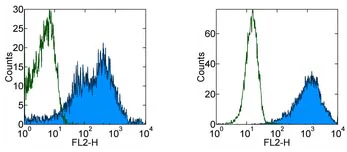 Flow Cytometry - PE Anti-Integrin alpha 6 antibody [GoH3] (AB95703)