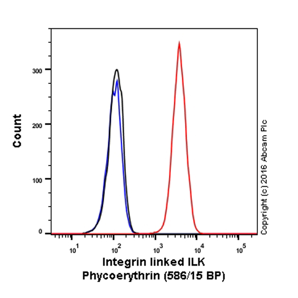 Flow Cytometry (Intracellular) - PE Anti-Integrin linked ILK antibody [EPR1592] (AB211694)