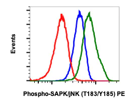 Flow Cytometry - PE Anti-JNK1 (phospho T183 + Y185) antibody [SAPKT183Y185-A11] (AB278617)