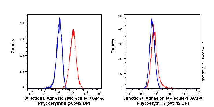 Flow Cytometry - PE Anti-Junctional Adhesion Molecule 1/JAM-A antibody [EPR23246-275] (AB275182), expandable thumbnail