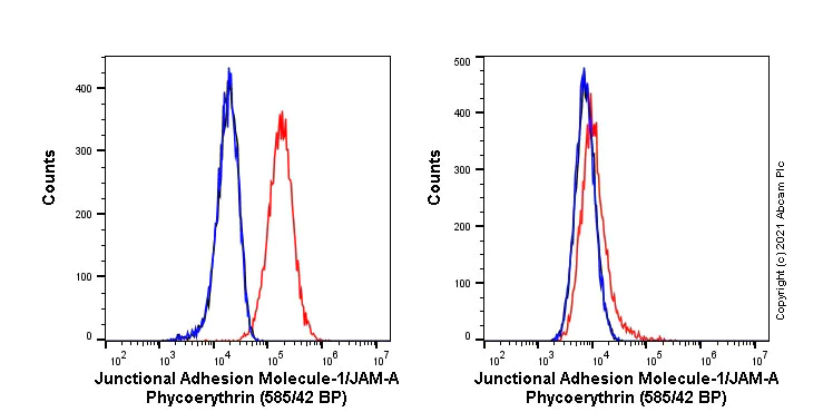 Flow Cytometry - PE Anti-Junctional Adhesion Molecule 1/JAM-A antibody [EPR23246-275] (AB275182)