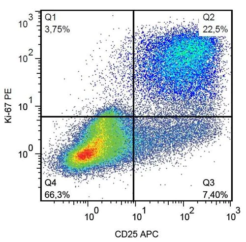 Flow Cytometry (Intracellular) - PE Anti-Ki67 antibody [Ki-67] (AB270650)