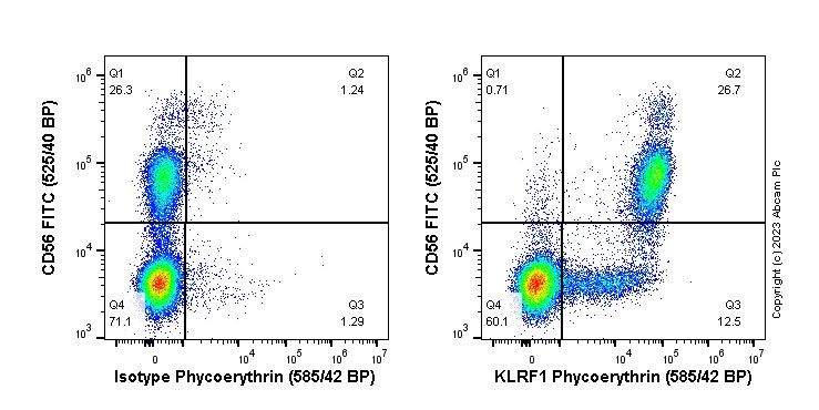 Flow Cytometry - PE Anti-KLRF1 antibody [EPR23633-150] (AB315145), expandable thumbnail