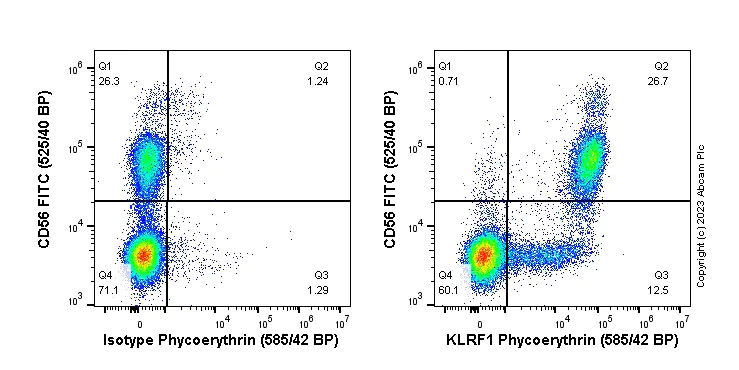 Flow Cytometry - PE Anti-KLRF1 antibody [EPR23633-150] (AB315145)