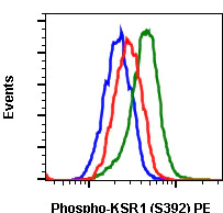 Flow Cytometry - PE Anti-KSR1 (phospho S392) antibody [KSR1S392-3A4] (AB278743)