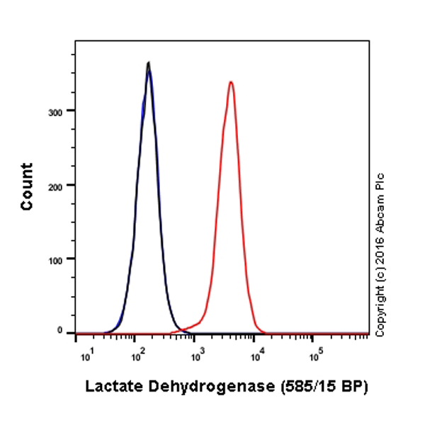 Flow Cytometry (Intracellular) - PE Anti-Lactate Dehydrogenase antibody [EP1563Y] (AB210445), expandable thumbnail