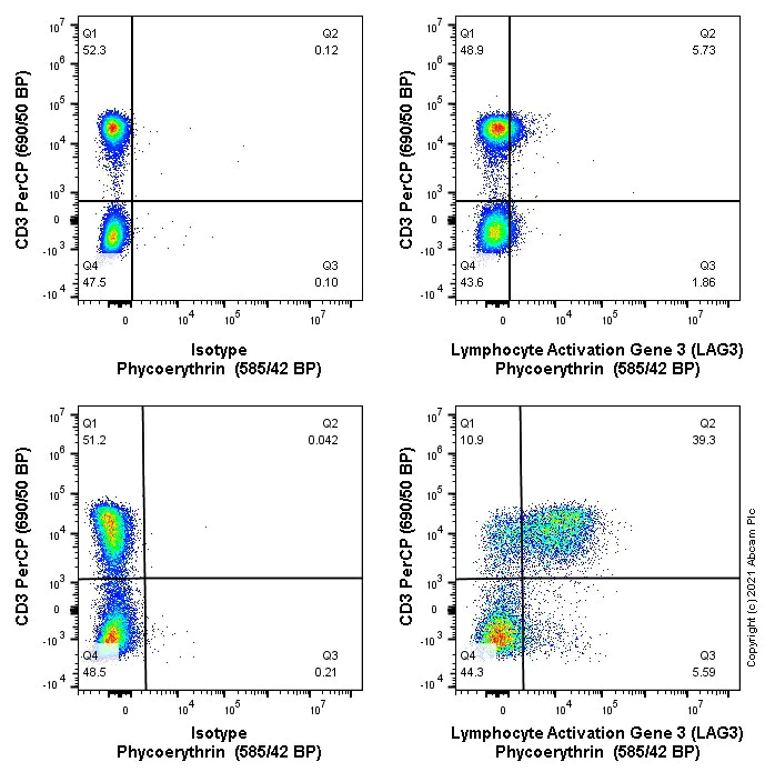 Flow Cytometry (Intracellular) - PE Anti-LAG-3 antibody [CAL77] (AB270909)
