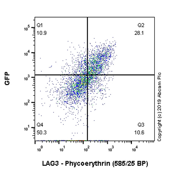 Flow Cytometry - PE Anti-LAG-3 antibody [EPR20261] (AB225484), expandable thumbnail