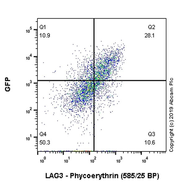 Flow Cytometry - PE Anti-LAG-3 antibody [EPR20261] (AB225484)