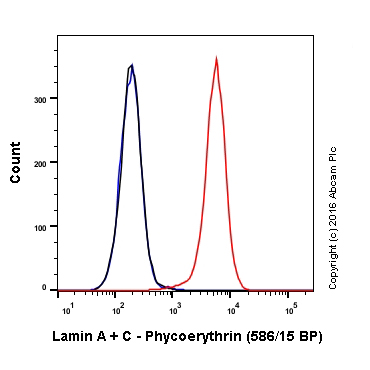 Flow Cytometry (Intracellular) - PE Anti-Lamin A + Lamin C antibody [EP4520-16] (AB213344)