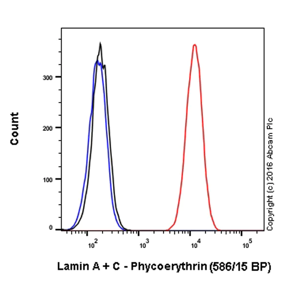 Flow Cytometry (Intracellular) - PE Anti-Lamin A + Lamin C antibody [EPR4100] - Nuclear Envelope Marker (AB210433)
