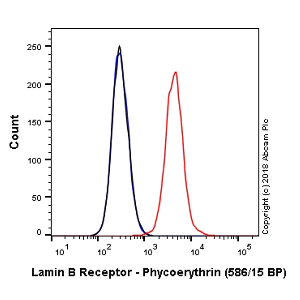 Flow Cytometry (Intracellular) - PE Anti-Lamin B Receptor/LBR antibody [E398L] (AB224951)