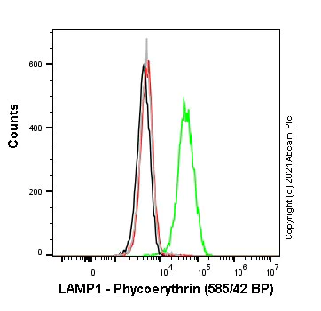 Flow Cytometry (Intracellular) - PE Anti-LAMP1 antibody [EPR24395-31] - Lysosome Marker (AB281778)